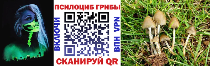 Галлюциногенные грибы MAGIC MUSHROOMS  гидра ONION  Апатиты 