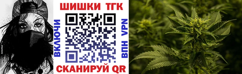 закладки  Апатиты  Бошки Шишки план 